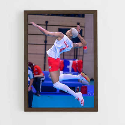 ap-turkey national volleyball team-6 cadre Bois foncé