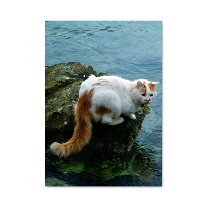 Poster Le Chat des Eaux