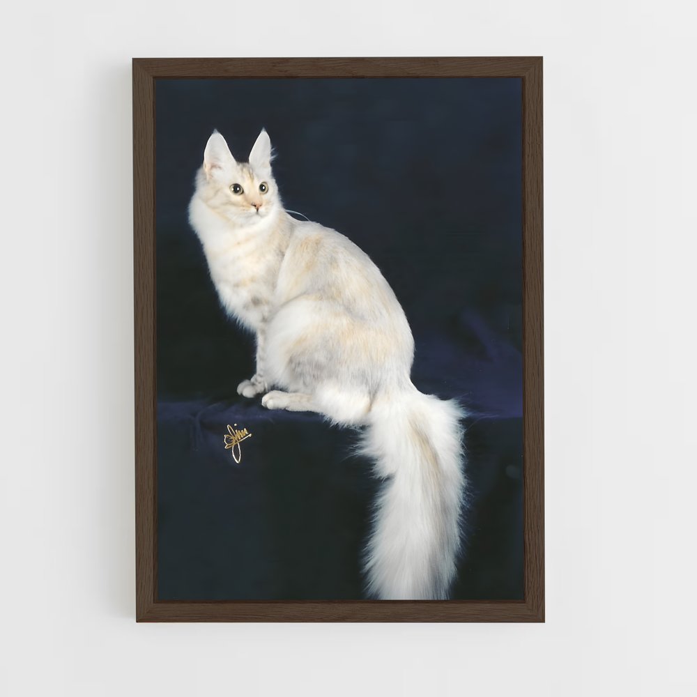 ap-turkish angora-2 cadre Bois foncé
