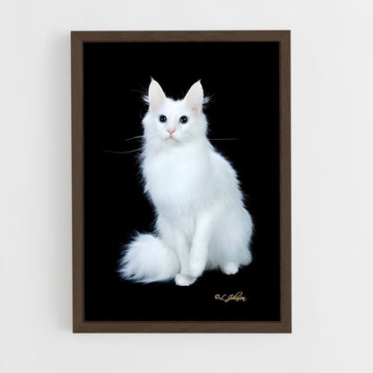 ap-turkish angora-3 cadre Bois foncé