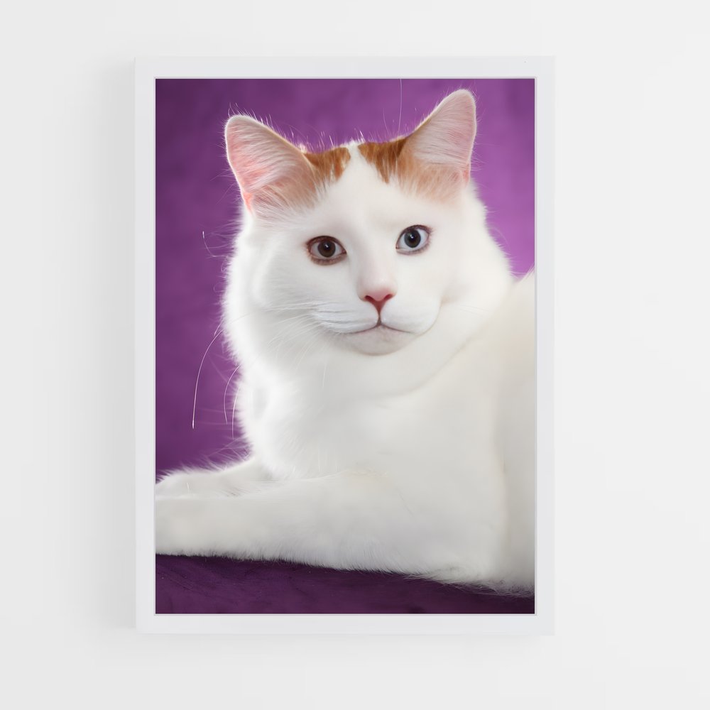 ap-turkish van-3 cadre Blanc