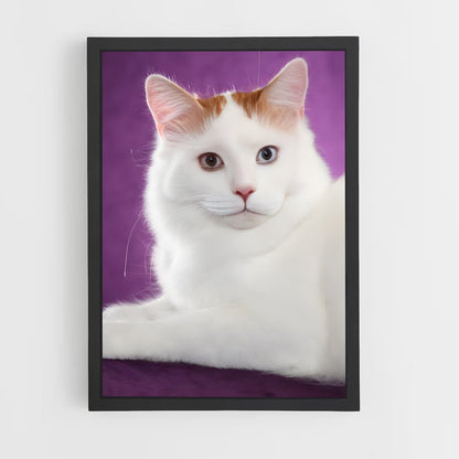 ap-turkish van-3 cadre Noir