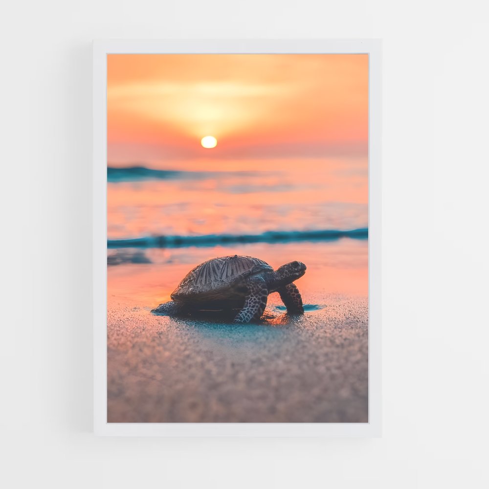 ap-turtle-4 cadre Blanc