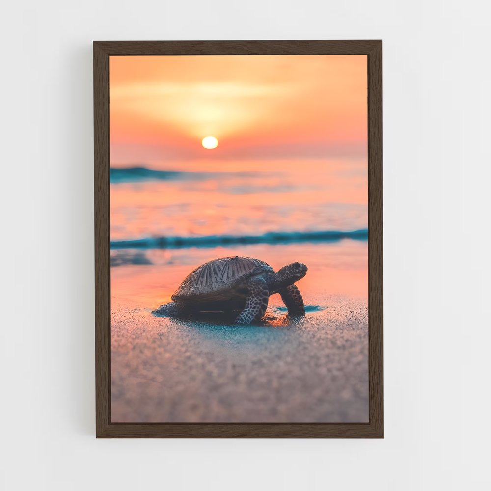 ap-turtle-4 cadre Bois foncé