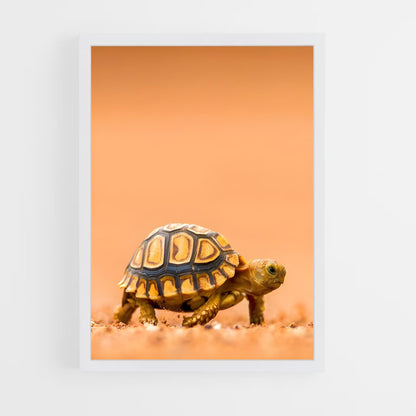 ap-turtle-5 cadre Blanc