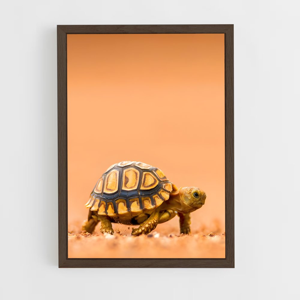 ap-turtle-5 cadre Bois foncé