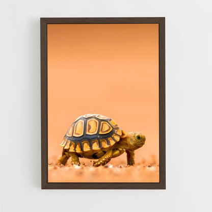 ap-turtle-5 cadre Bois foncé
