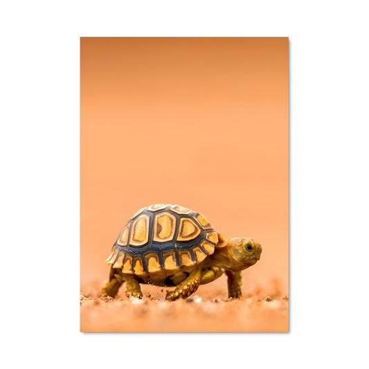 Poster Petite Voyageuse