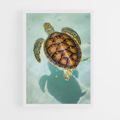 ap-turtle-7 cadre Blanc