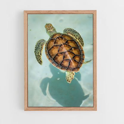 ap-turtle-7 cadre Bois clair