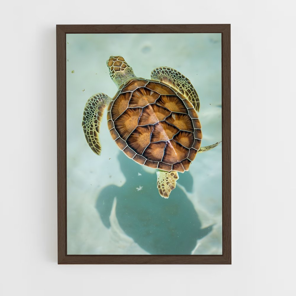 ap-turtle-7 cadre Bois foncé