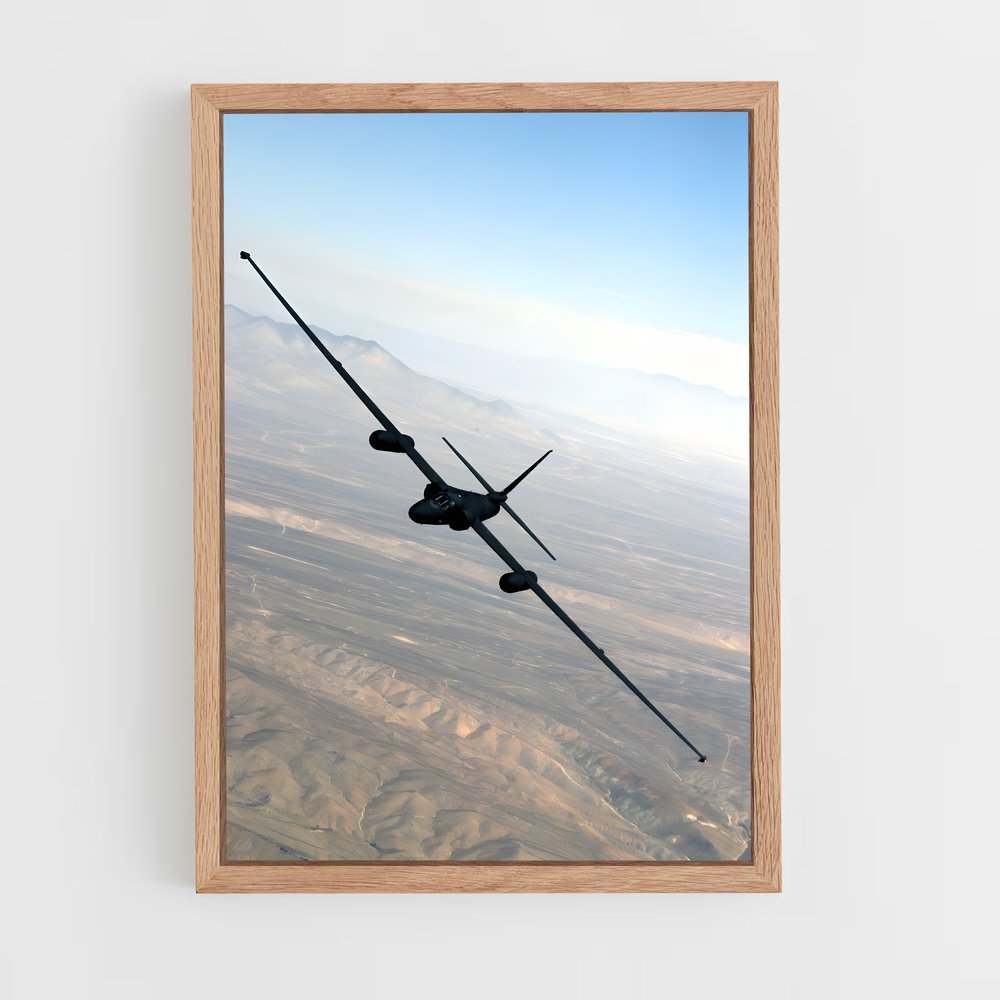 ap-u-2 dragon lady-1 cadre Bois clair