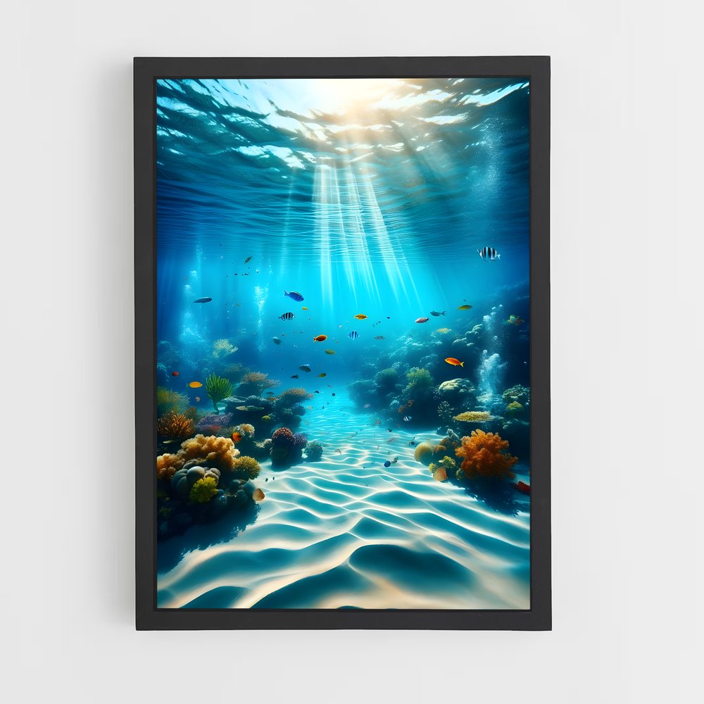 ap-underwater-16 cadre Noir