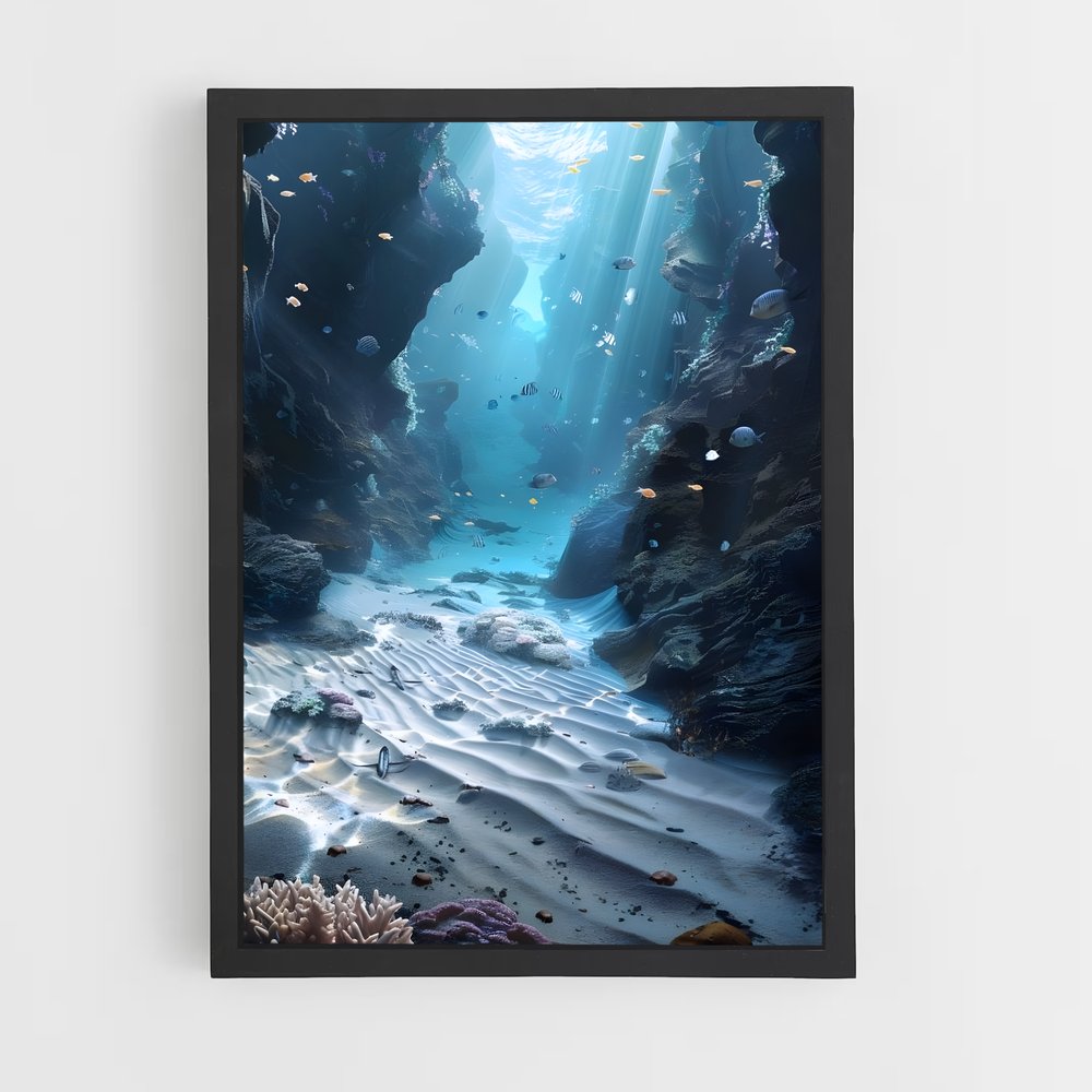 ap-underwater-4 cadre Noir