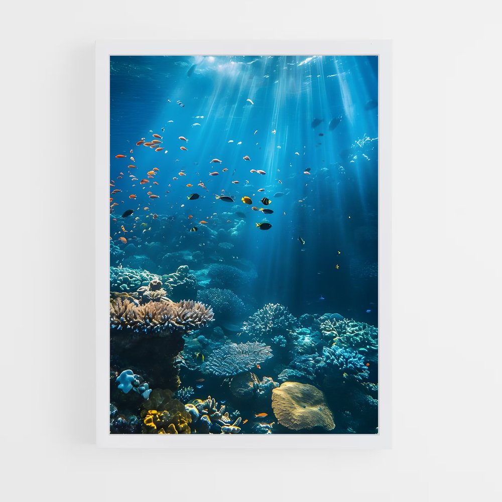 ap-underwater-8 cadre Blanc