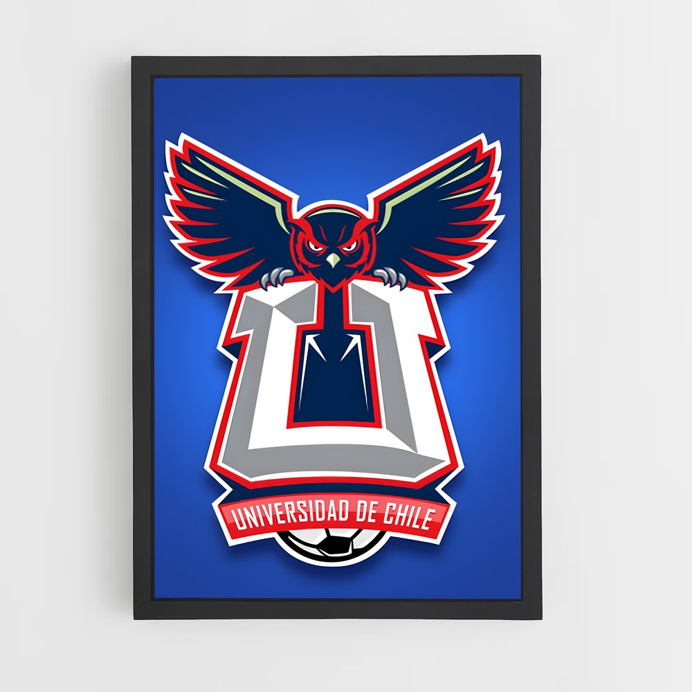 ap-universidad de chile football club-7 cadre Noir