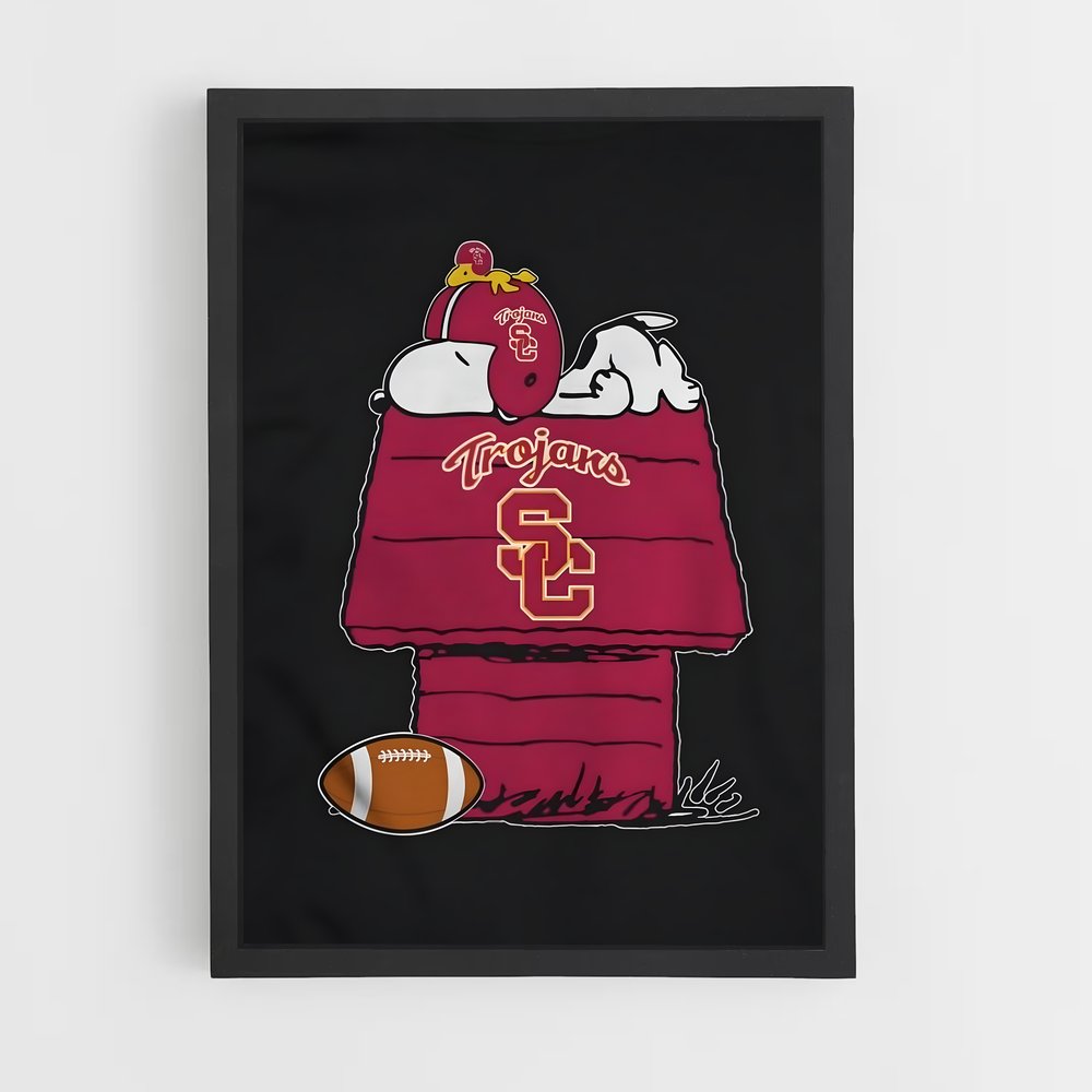 ap-usc trojans-2 cadre Noir