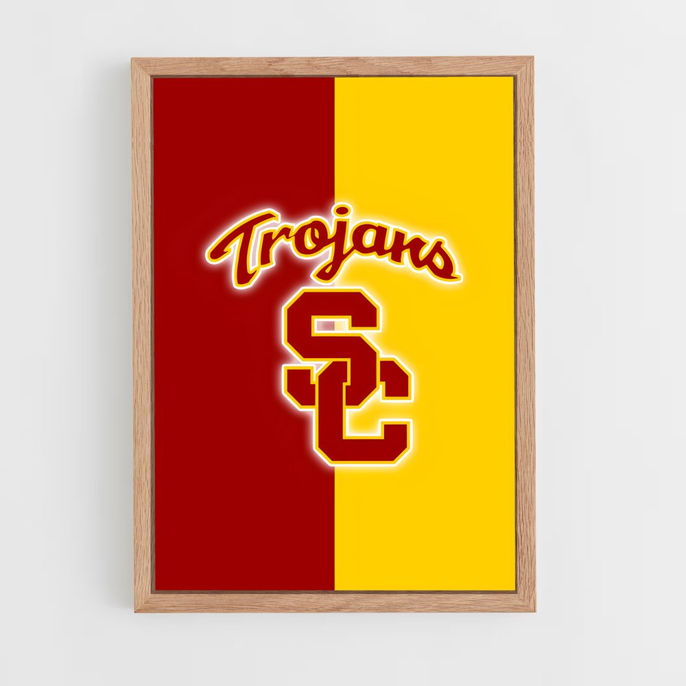 ap-usc trojans-4 cadre Bois clair