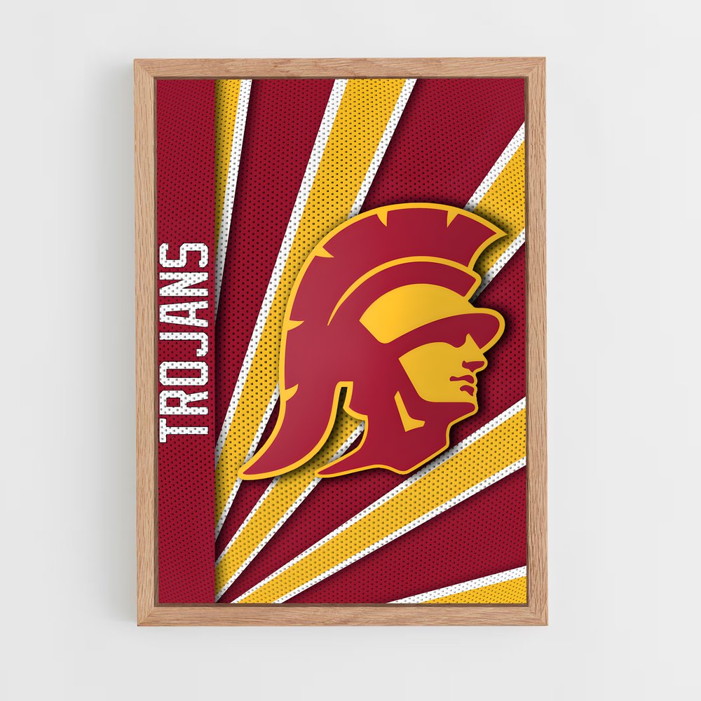 ap-usc trojans-6 cadre Bois clair