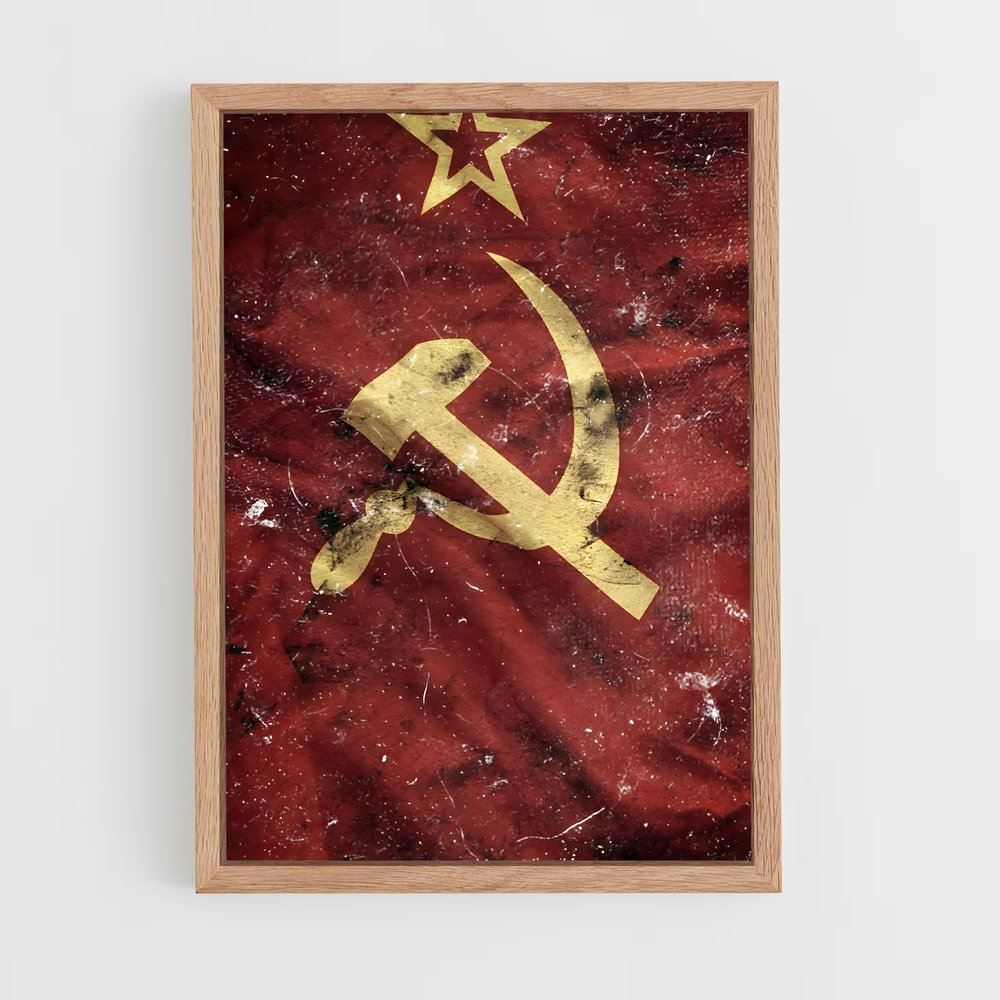 ap-ussr-5 cadre Bois clair