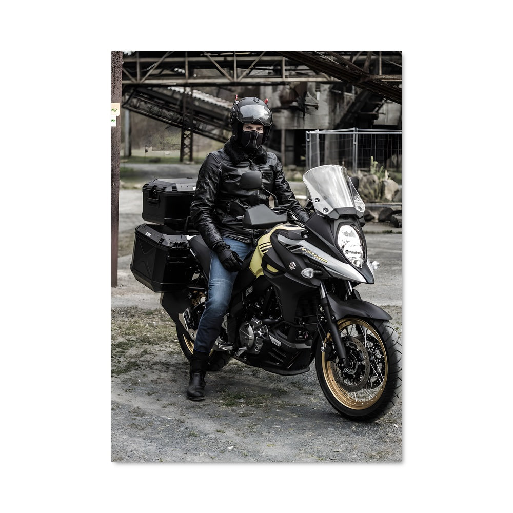 Poster V-strom 650 82772