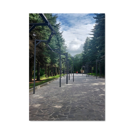 Poster Promenade Céleste