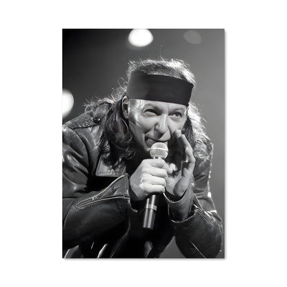 Poster Vasco en Concert