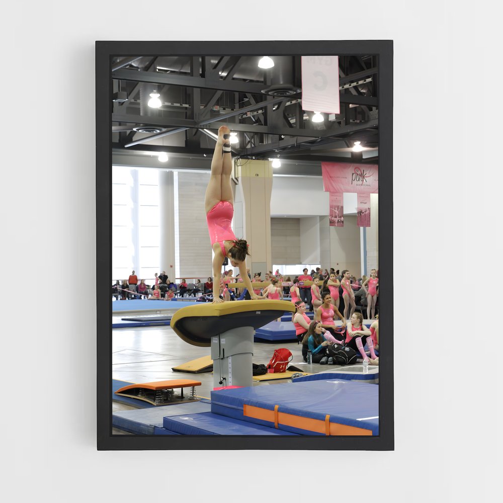 ap-vault gymnastics-1 cadre Noir