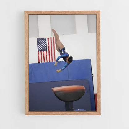 ap-vault gymnastics-3 cadre Bois clair