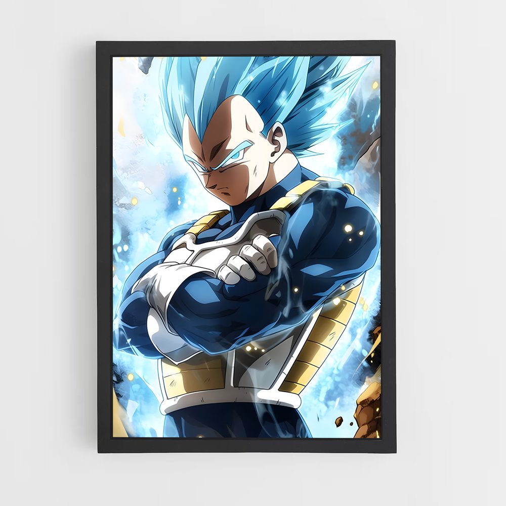 ap-vegeta-1 cadre Noir