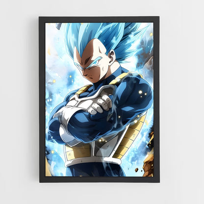 ap-vegeta-1 cadre Noir