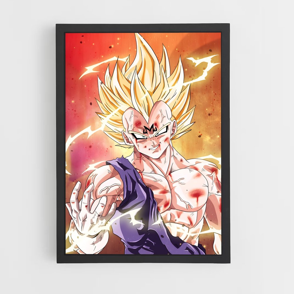 ap-vegeta-10 cadre Noir