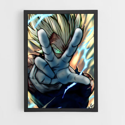 ap-vegeta-13 cadre Noir