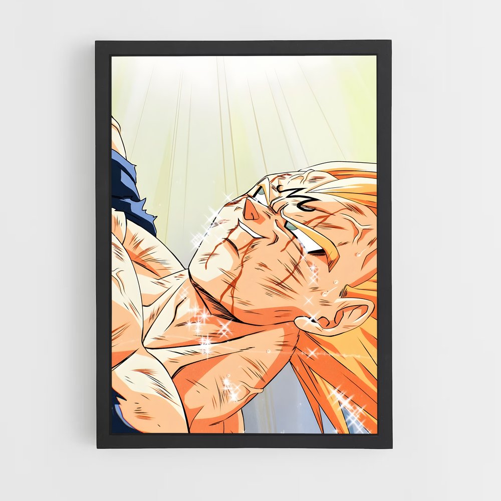 ap-vegeta-14 cadre Noir