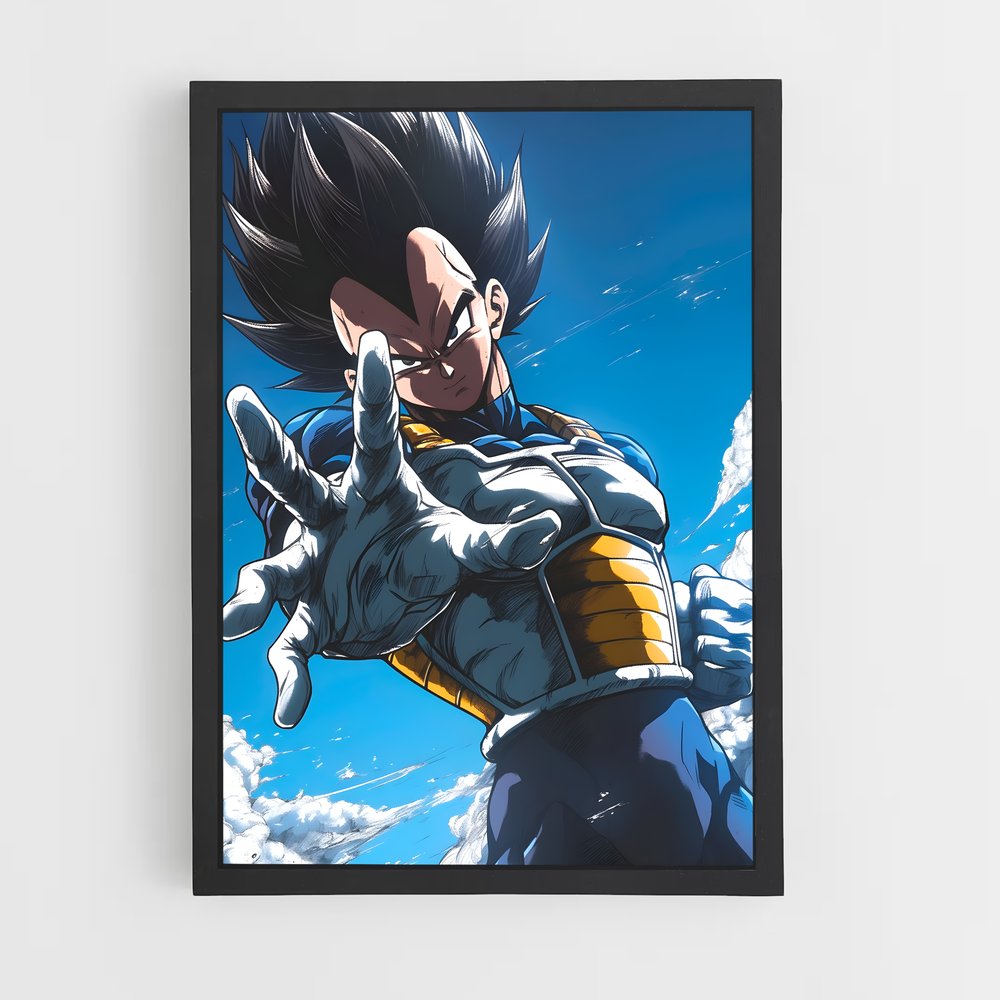 ap-vegeta-2 cadre Noir