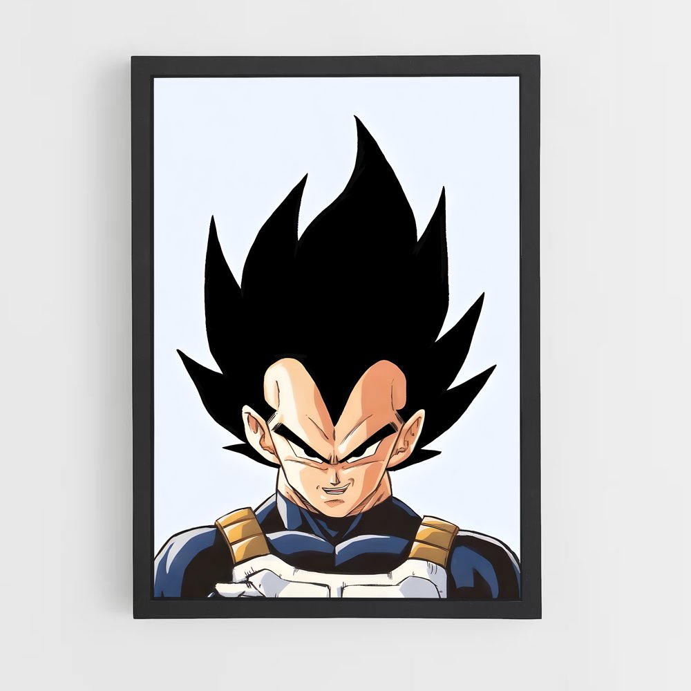 ap-vegeta-3 cadre Noir