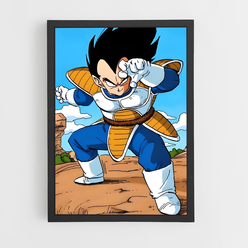 ap-vegeta-4 cadre Noir