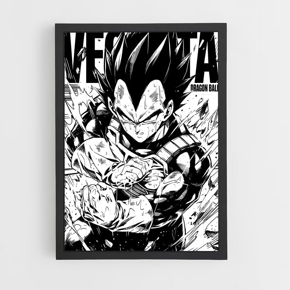 ap-vegeta-5 cadre Noir