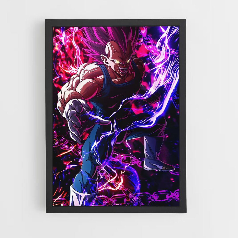 ap-vegeta-7 cadre Noir