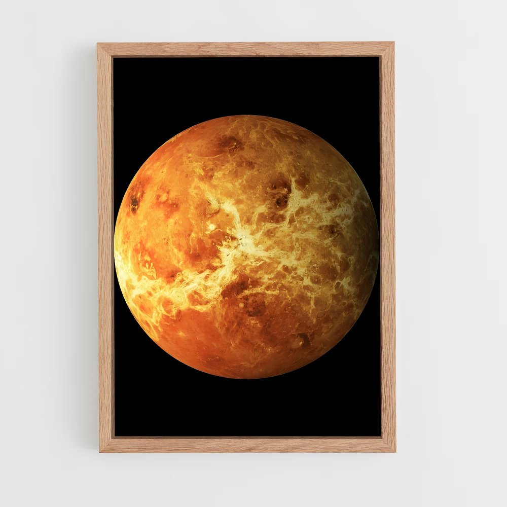 ap-venus-14 cadre Bois clair