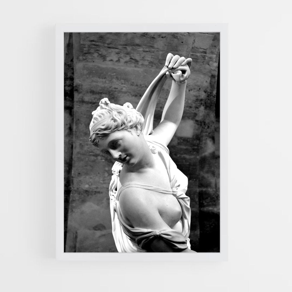 ap-venus callipyge-4 cadre Blanc