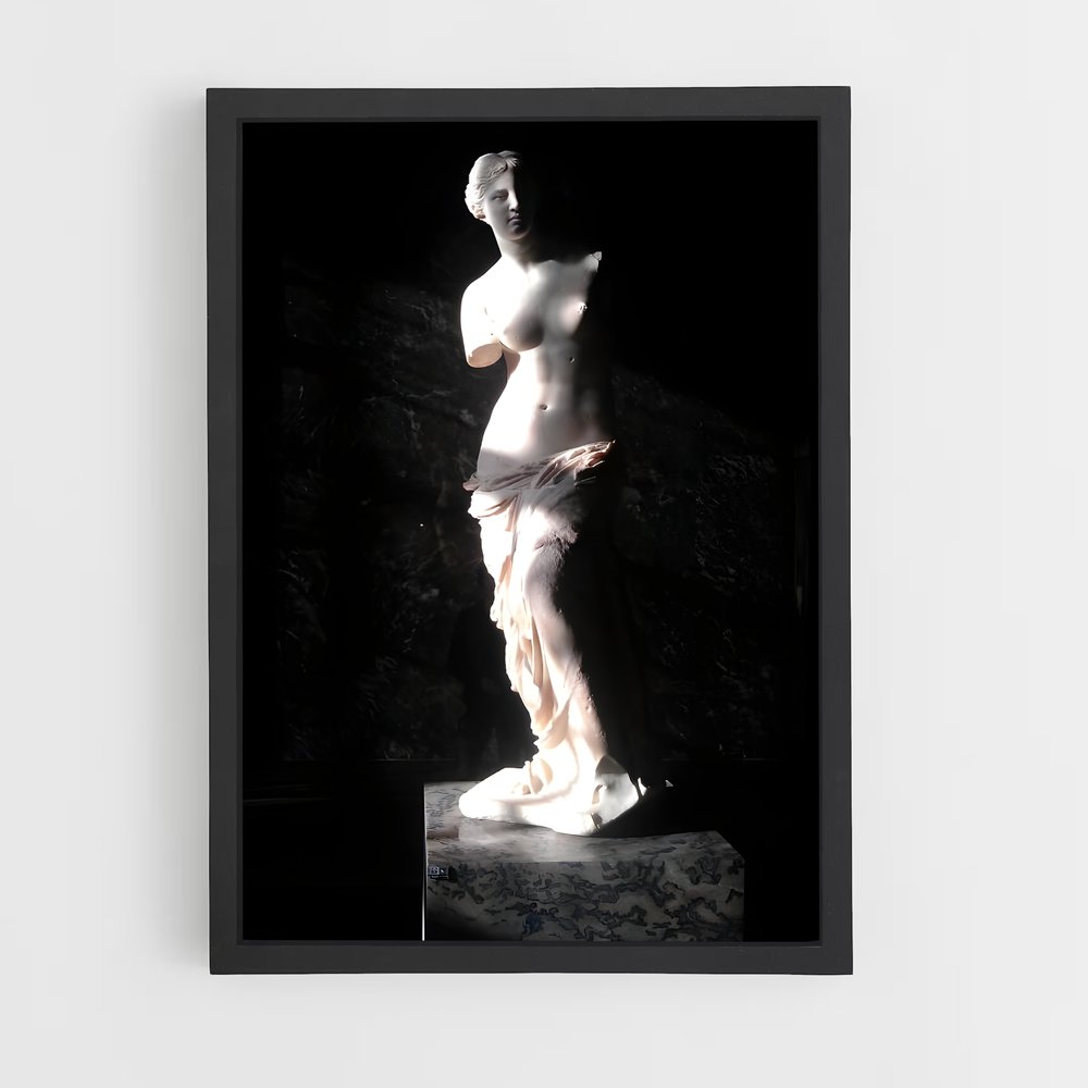 ap-venus de medici-2 cadre Noir