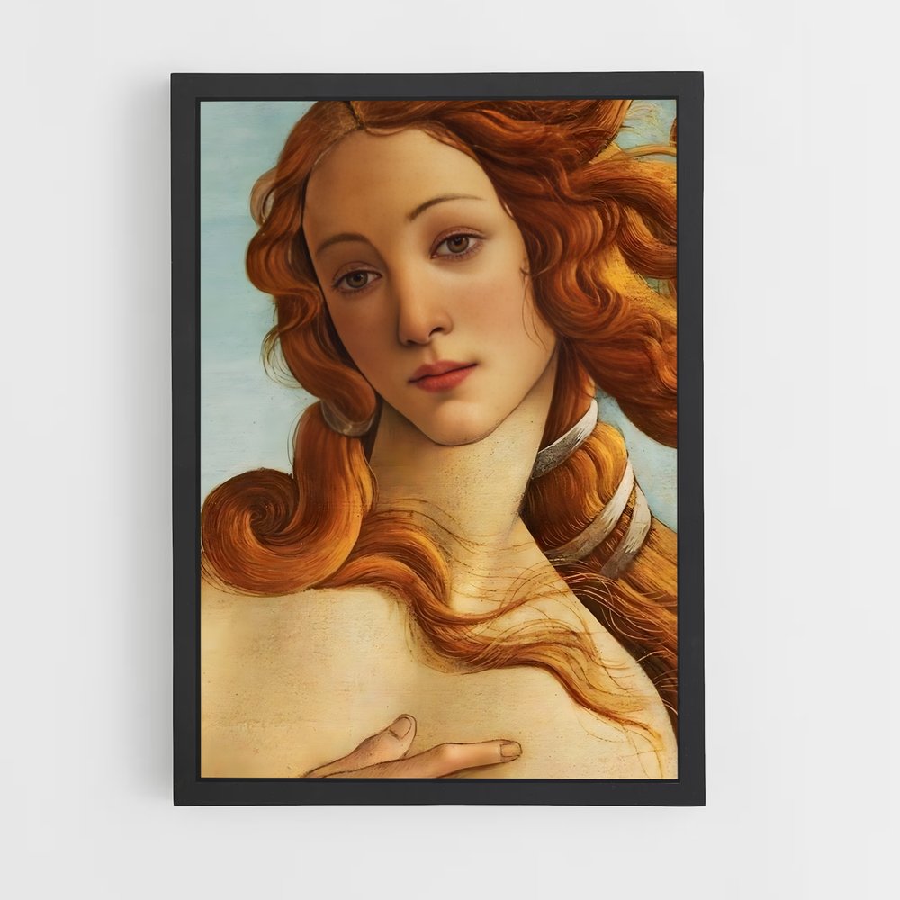 ap-venus de medici-3 cadre Noir