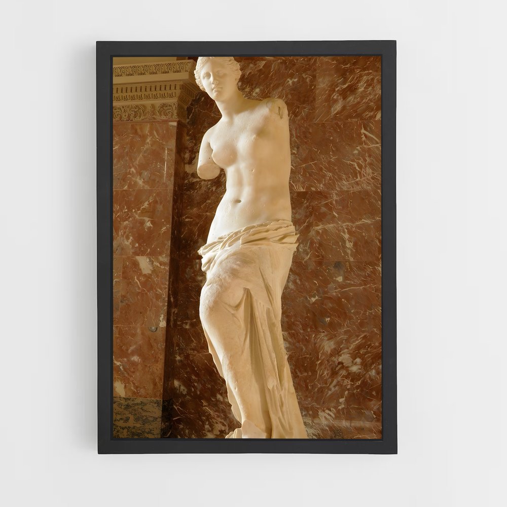 ap-venus de medici-4 cadre Noir