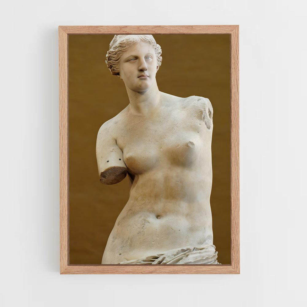 ap-venus de milo-1 cadre Bois clair