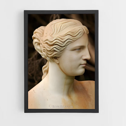 ap-venus de milo-6 cadre Noir