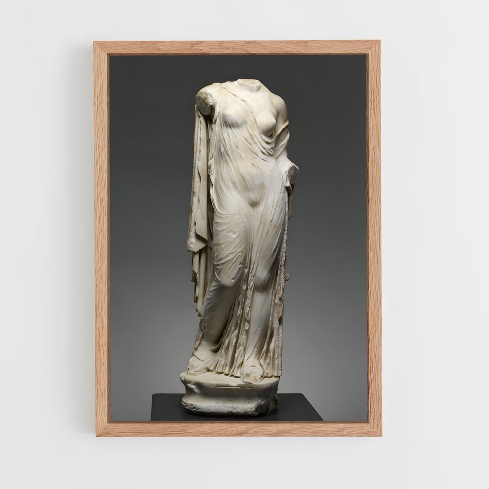 ap-venus genetrix-1 cadre Bois clair