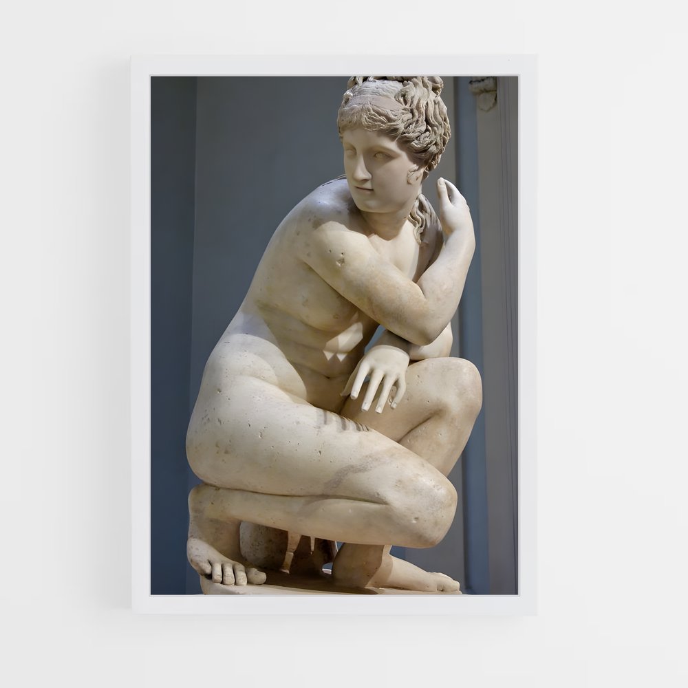 ap-venus pudica-2 cadre Blanc