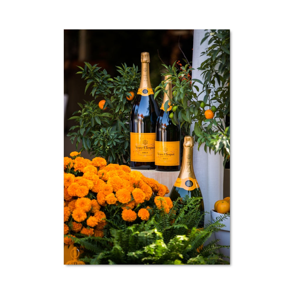 Poster Veuve clicquot 25682