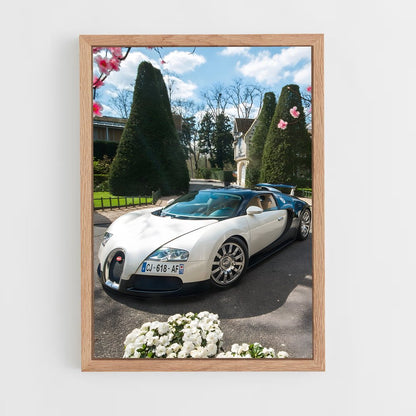 ap-veyron grand sport-3 cadre Bois clair